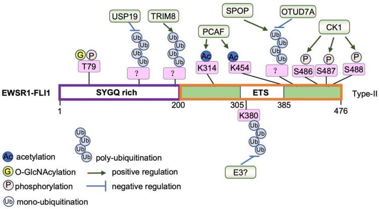 https://cdn.ncbi.nlm.nih.gov/pmc/blobs/a295/9857208/0dc0566c0bc6/cancers-15-00382-g002.jpg