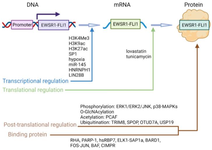 https://cdn.ncbi.nlm.nih.gov/pmc/blobs/a295/9857208/bf846a60fa89/cancers-15-00382-g001.jpg