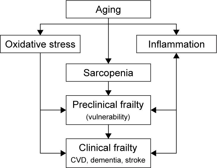 https://cdn.ncbi.nlm.nih.gov/pmc/blobs/a29e/5927356/be6494d5fd3c/cia-13-757Fig2.jpg