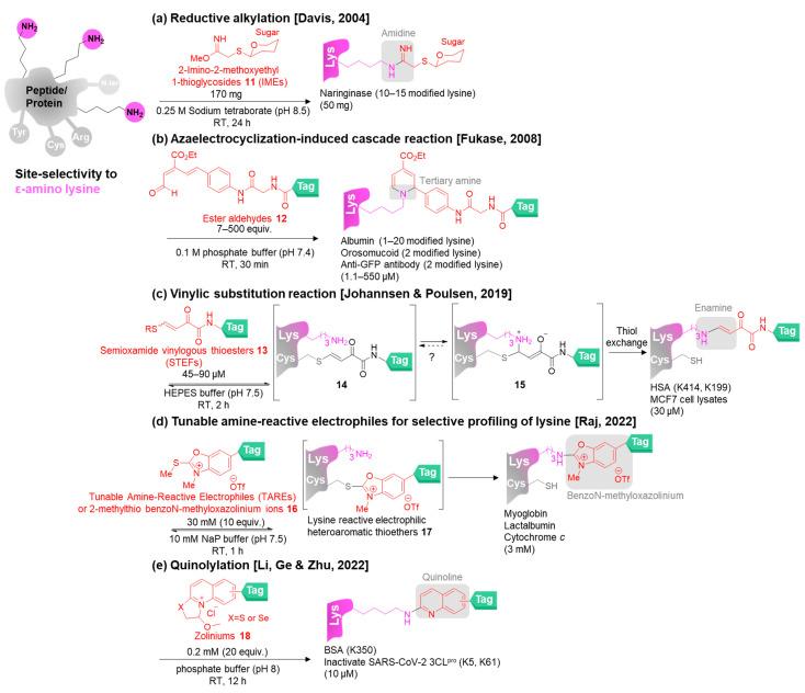 https://cdn.ncbi.nlm.nih.gov/pmc/blobs/a2a3/9953373/1fb36cf7095f/molecules-28-01083-g004.jpg