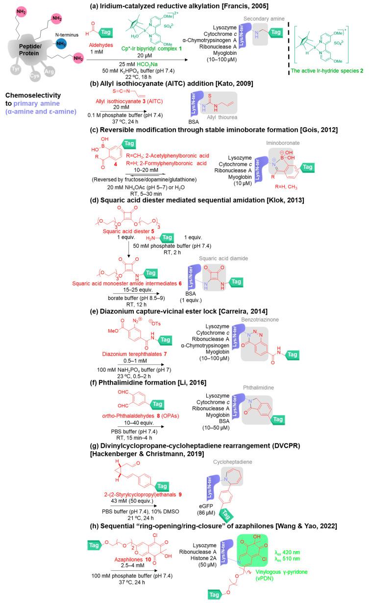 https://cdn.ncbi.nlm.nih.gov/pmc/blobs/a2a3/9953373/3edb945ed89b/molecules-28-01083-g003.jpg