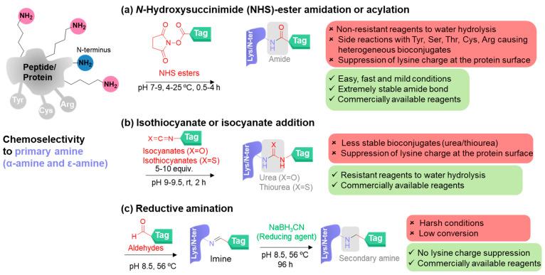 https://cdn.ncbi.nlm.nih.gov/pmc/blobs/a2a3/9953373/4c7555707df9/molecules-28-01083-g002.jpg