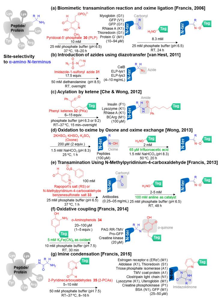 https://cdn.ncbi.nlm.nih.gov/pmc/blobs/a2a3/9953373/66d4b91ffbd5/molecules-28-01083-g006a.jpg