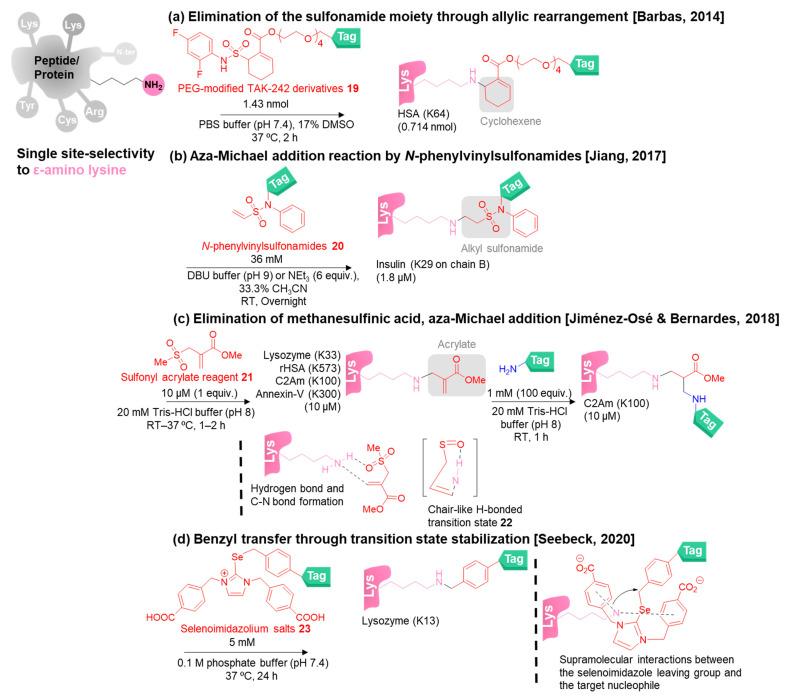 https://cdn.ncbi.nlm.nih.gov/pmc/blobs/a2a3/9953373/93dfc14113be/molecules-28-01083-g005a.jpg