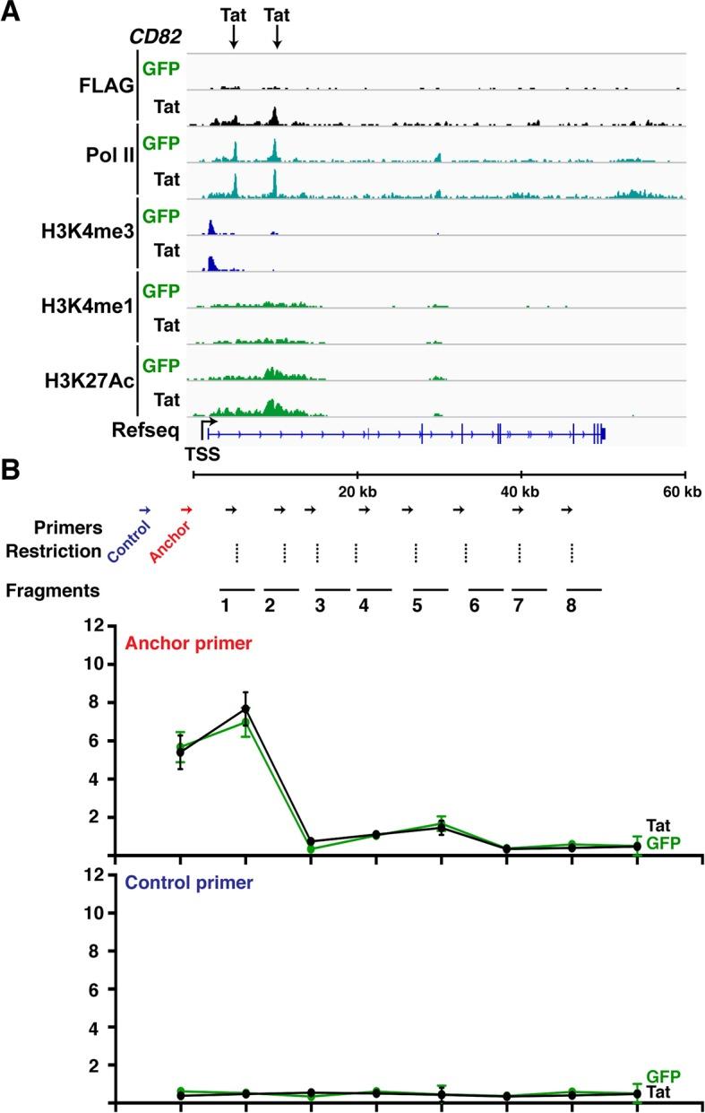 https://cdn.ncbi.nlm.nih.gov/pmc/blobs/a2a8/4733046/16389a2e722b/elife-08955-fig4-figsupp4.jpg