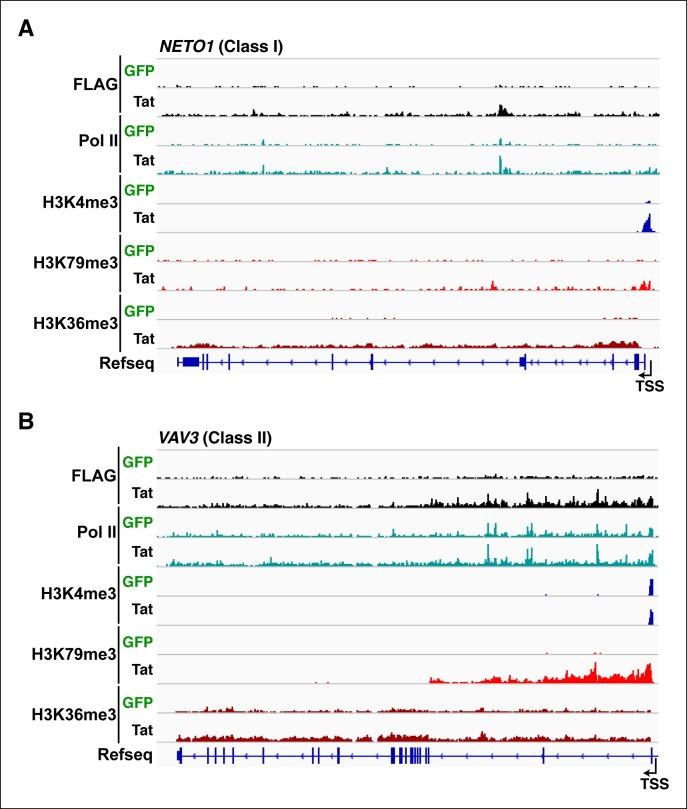 https://cdn.ncbi.nlm.nih.gov/pmc/blobs/a2a8/4733046/2b0dcfd120c2/elife-08955-fig3-figsupp1.jpg