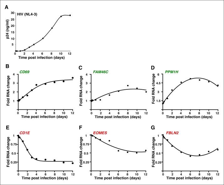 https://cdn.ncbi.nlm.nih.gov/pmc/blobs/a2a8/4733046/549ae0ac0b2a/elife-08955-fig1-figsupp7.jpg