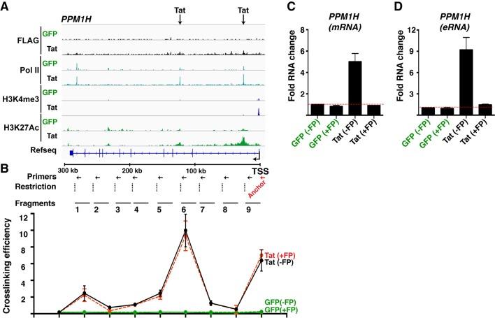 https://cdn.ncbi.nlm.nih.gov/pmc/blobs/a2a8/4733046/593a5a214b82/elife-08955-fig4-figsupp3.jpg