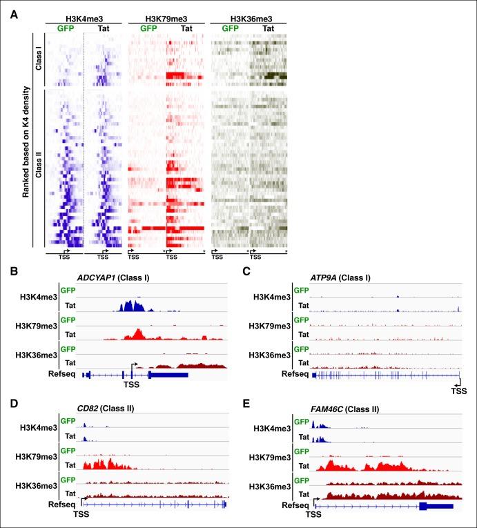 https://cdn.ncbi.nlm.nih.gov/pmc/blobs/a2a8/4733046/6546c66d12af/elife-08955-fig2-figsupp4.jpg
