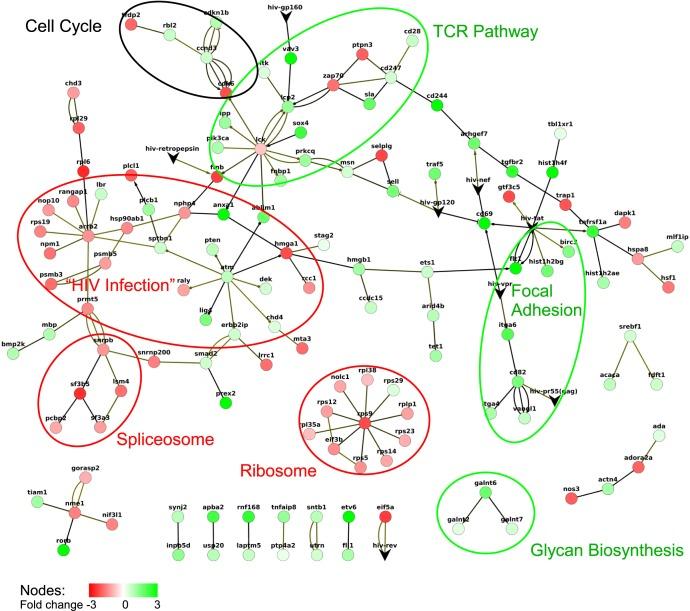 https://cdn.ncbi.nlm.nih.gov/pmc/blobs/a2a8/4733046/656359ae47d3/elife-08955-fig1-figsupp9.jpg