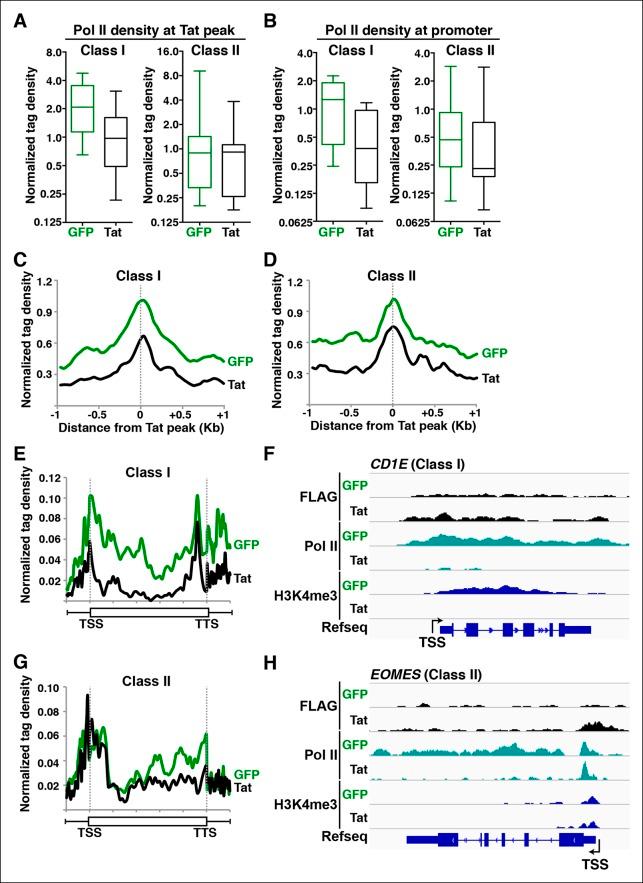 https://cdn.ncbi.nlm.nih.gov/pmc/blobs/a2a8/4733046/70bae299935e/elife-08955-fig7.jpg