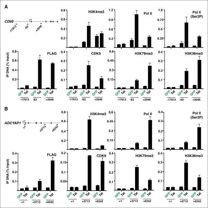 https://cdn.ncbi.nlm.nih.gov/pmc/blobs/a2a8/4733046/78aa618bd904/elife-08955-fig2-figsupp3.jpg