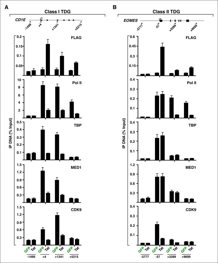 https://cdn.ncbi.nlm.nih.gov/pmc/blobs/a2a8/4733046/a49e01105fd3/elife-08955-fig6-figsupp1.jpg