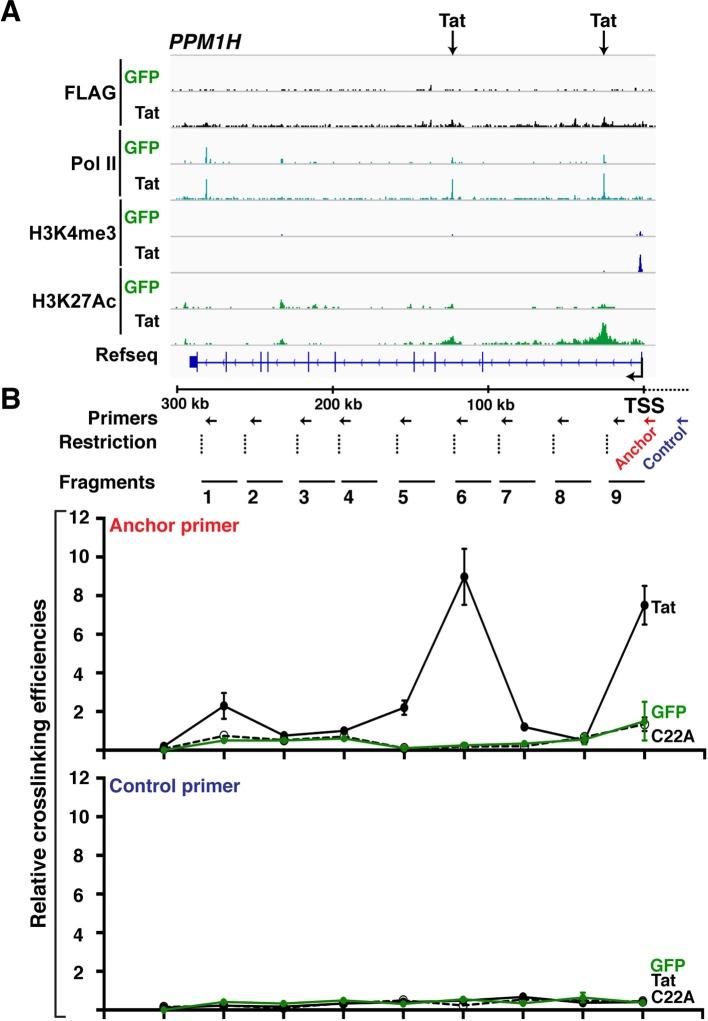 https://cdn.ncbi.nlm.nih.gov/pmc/blobs/a2a8/4733046/acc6f4729293/elife-08955-fig4-figsupp2.jpg