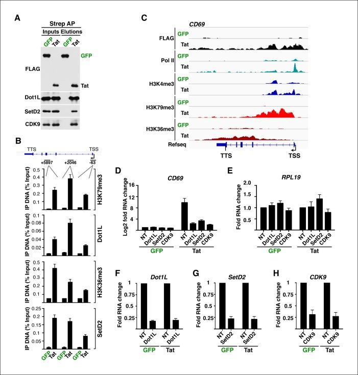 https://cdn.ncbi.nlm.nih.gov/pmc/blobs/a2a8/4733046/b16d2663f5b8/elife-08955-fig2-figsupp5.jpg