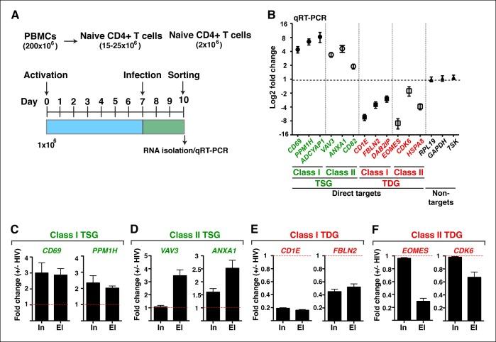 https://cdn.ncbi.nlm.nih.gov/pmc/blobs/a2a8/4733046/b97a10285971/elife-08955-fig1-figsupp8.jpg
