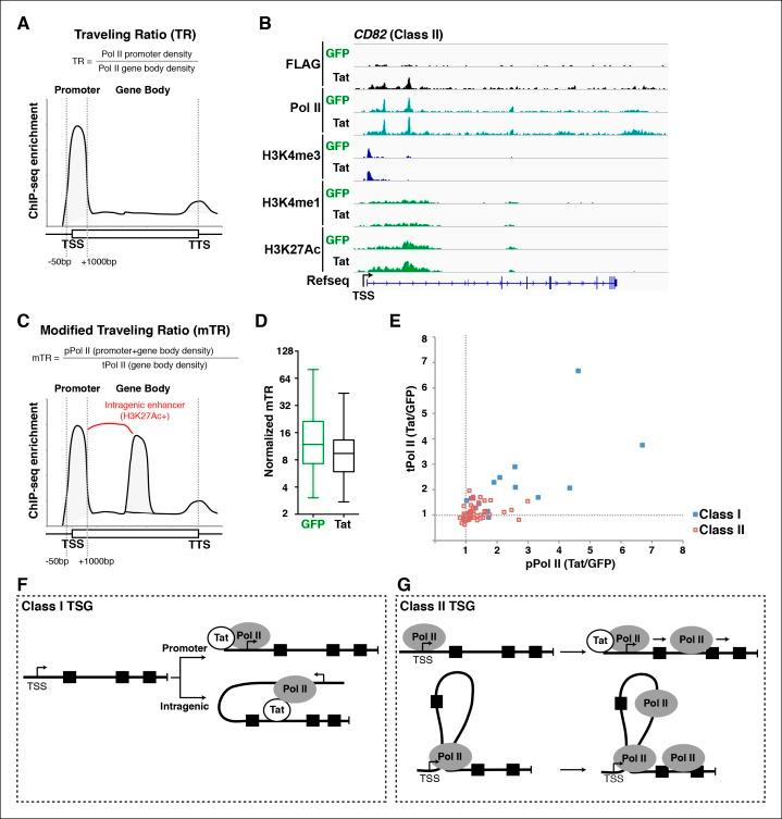 https://cdn.ncbi.nlm.nih.gov/pmc/blobs/a2a8/4733046/c6b69ea9a2e9/elife-08955-fig5.jpg
