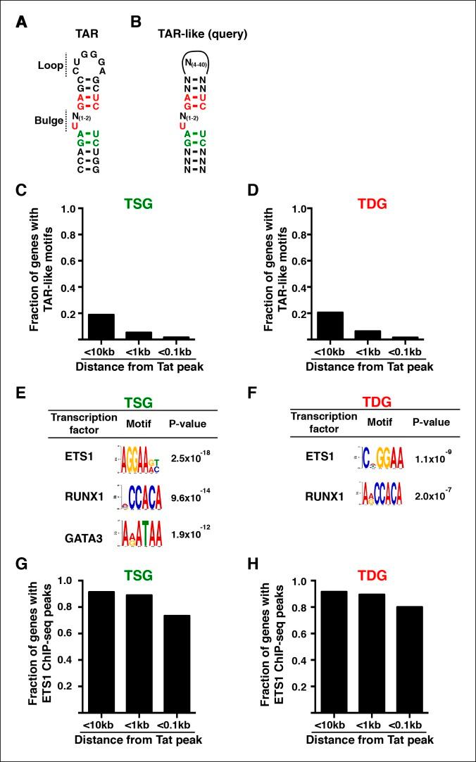 https://cdn.ncbi.nlm.nih.gov/pmc/blobs/a2a8/4733046/c8f5f676224c/elife-08955-fig8.jpg