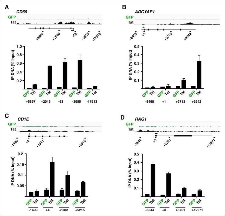 https://cdn.ncbi.nlm.nih.gov/pmc/blobs/a2a8/4733046/cb89e0facc2f/elife-08955-fig1-figsupp6.jpg