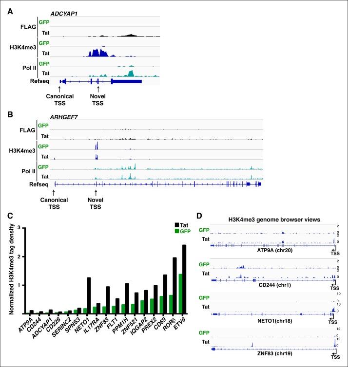 https://cdn.ncbi.nlm.nih.gov/pmc/blobs/a2a8/4733046/d11e45f6b70b/elife-08955-fig2-figsupp1.jpg
