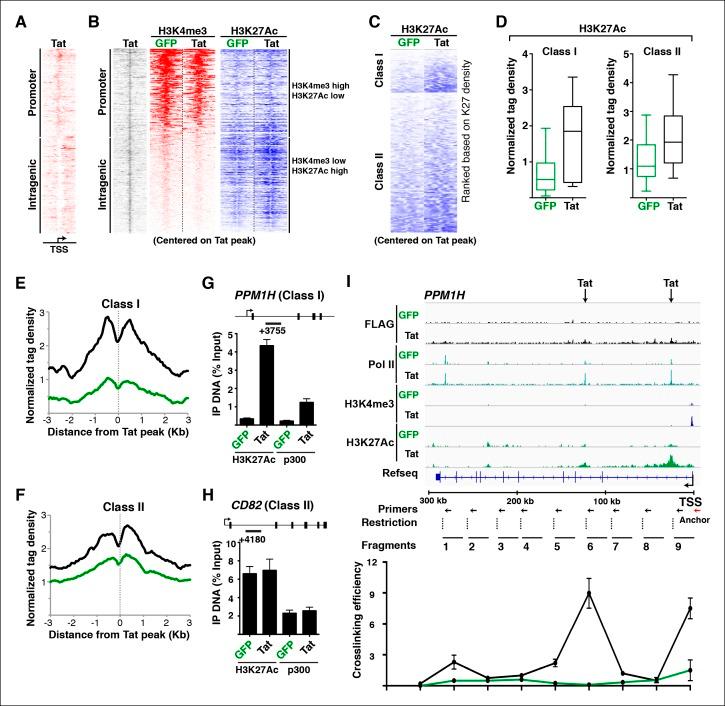 https://cdn.ncbi.nlm.nih.gov/pmc/blobs/a2a8/4733046/d383ac317a23/elife-08955-fig4.jpg