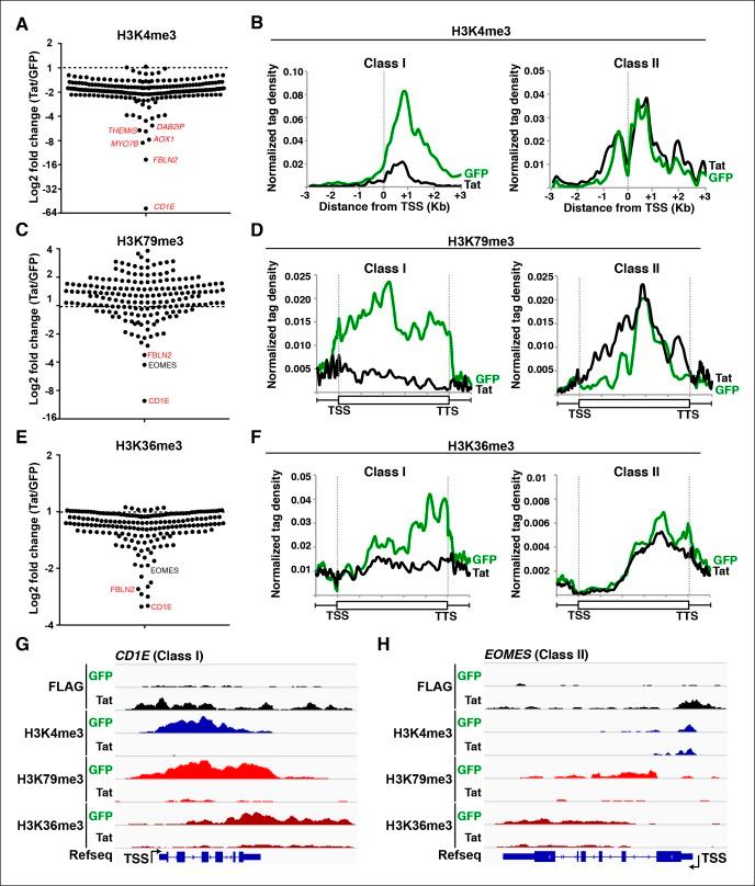 https://cdn.ncbi.nlm.nih.gov/pmc/blobs/a2a8/4733046/e576292186cb/elife-08955-fig6.jpg