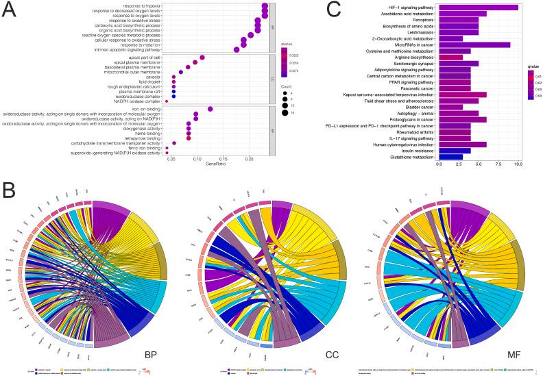 https://cdn.ncbi.nlm.nih.gov/pmc/blobs/a2b1/9774008/8bb0d7f94a24/peerj-10-14506-g001.jpg