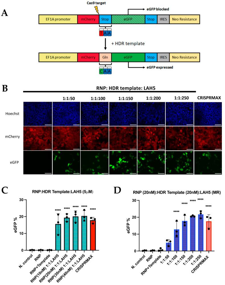 https://cdn.ncbi.nlm.nih.gov/pmc/blobs/a2b2/10609989/ea9cf91c69d0/pharmaceutics-15-02500-g007.jpg