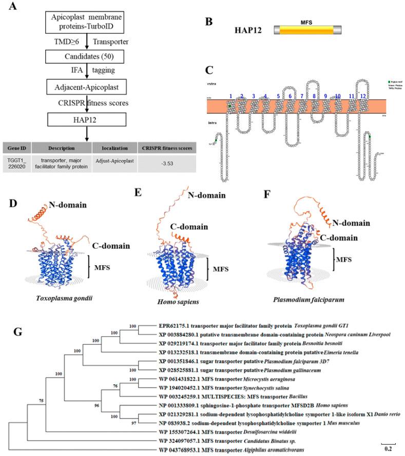 https://cdn.ncbi.nlm.nih.gov/pmc/blobs/a2c7/12028005/d7f7a7475951/ijms-26-03910-g001.jpg
