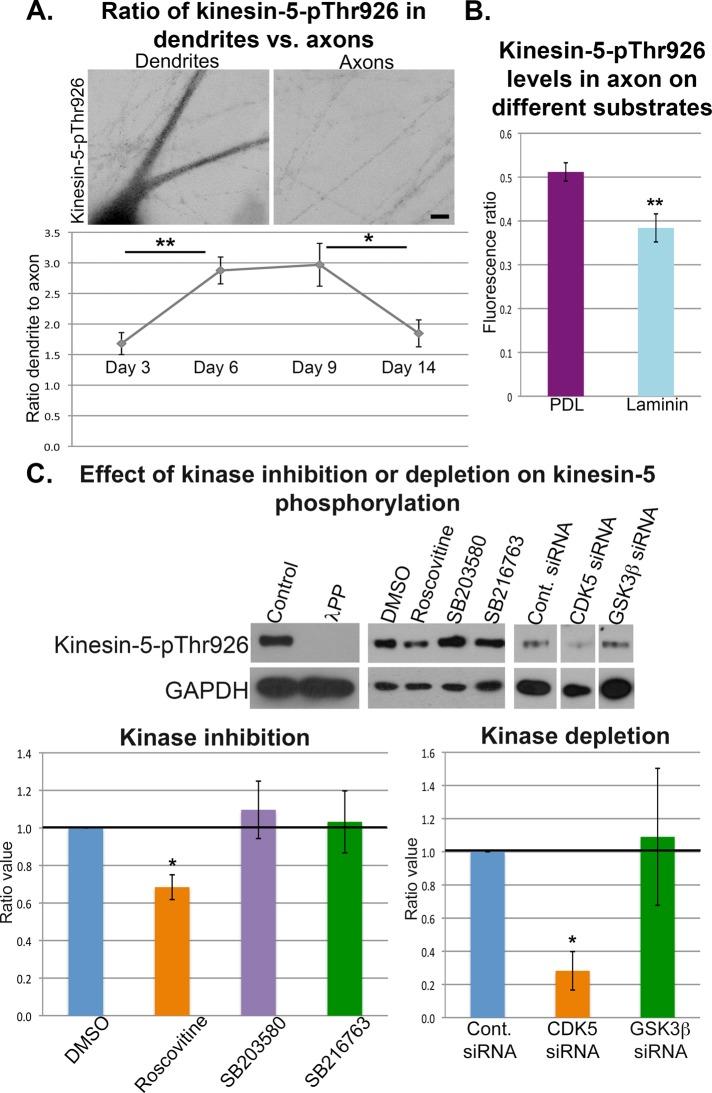 https://cdn.ncbi.nlm.nih.gov/pmc/blobs/a2e9/4279230/47216ef740eb/66fig4.jpg