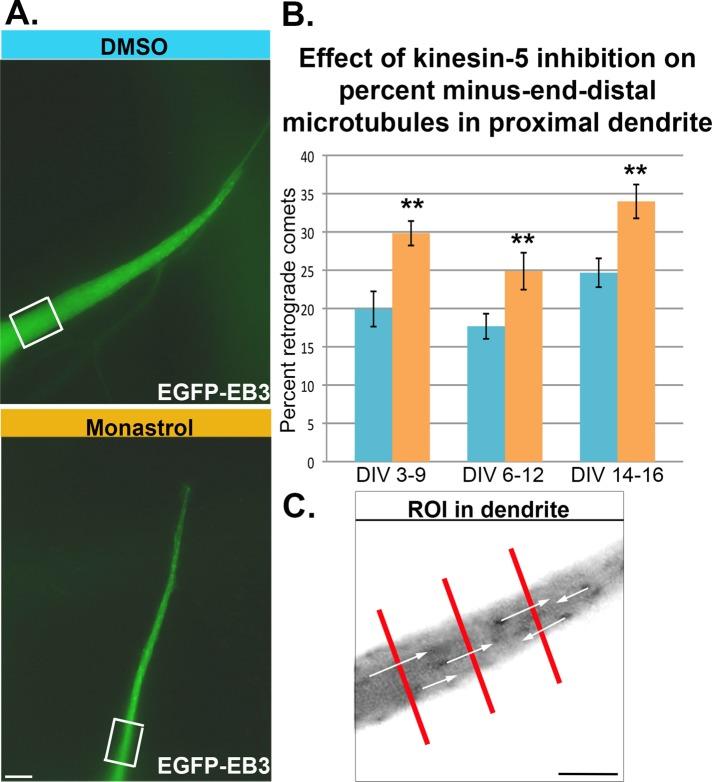 https://cdn.ncbi.nlm.nih.gov/pmc/blobs/a2e9/4279230/4be06b514255/66fig3.jpg