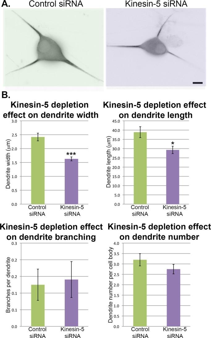 https://cdn.ncbi.nlm.nih.gov/pmc/blobs/a2e9/4279230/c6299c8b7d73/66fig1.jpg