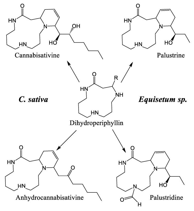 https://cdn.ncbi.nlm.nih.gov/pmc/blobs/a2f4/12073235/21ed12dba81c/plants-14-01372-g007.jpg