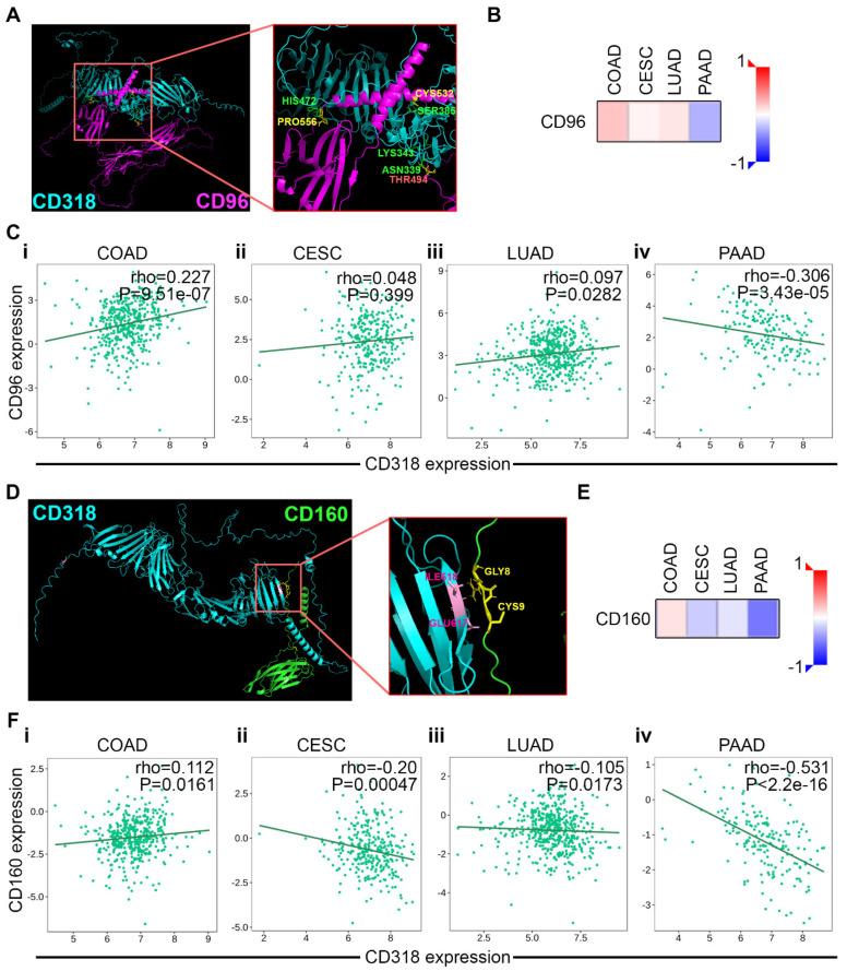 https://cdn.ncbi.nlm.nih.gov/pmc/blobs/a306/12295231/0cb79092a04a/jcm-14-05139-g005.jpg