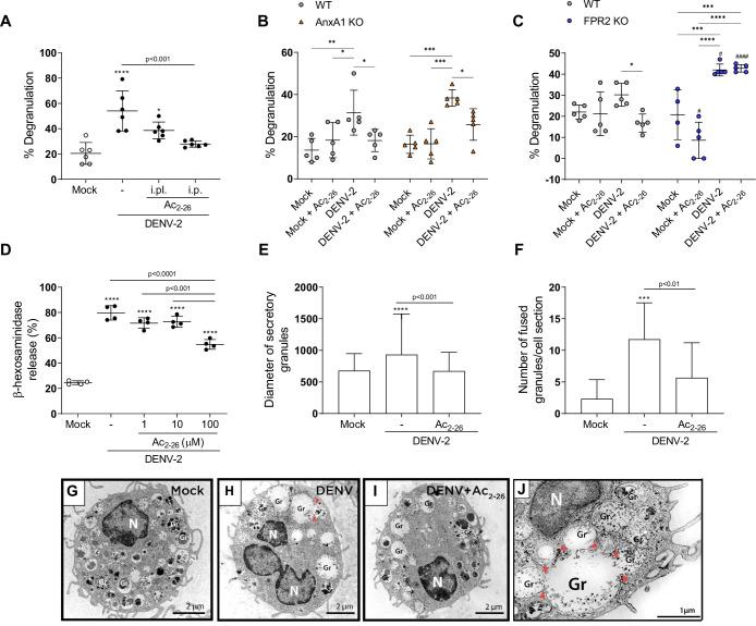 https://cdn.ncbi.nlm.nih.gov/pmc/blobs/a314/8959599/b343205c427f/elife-73853-fig6.jpg