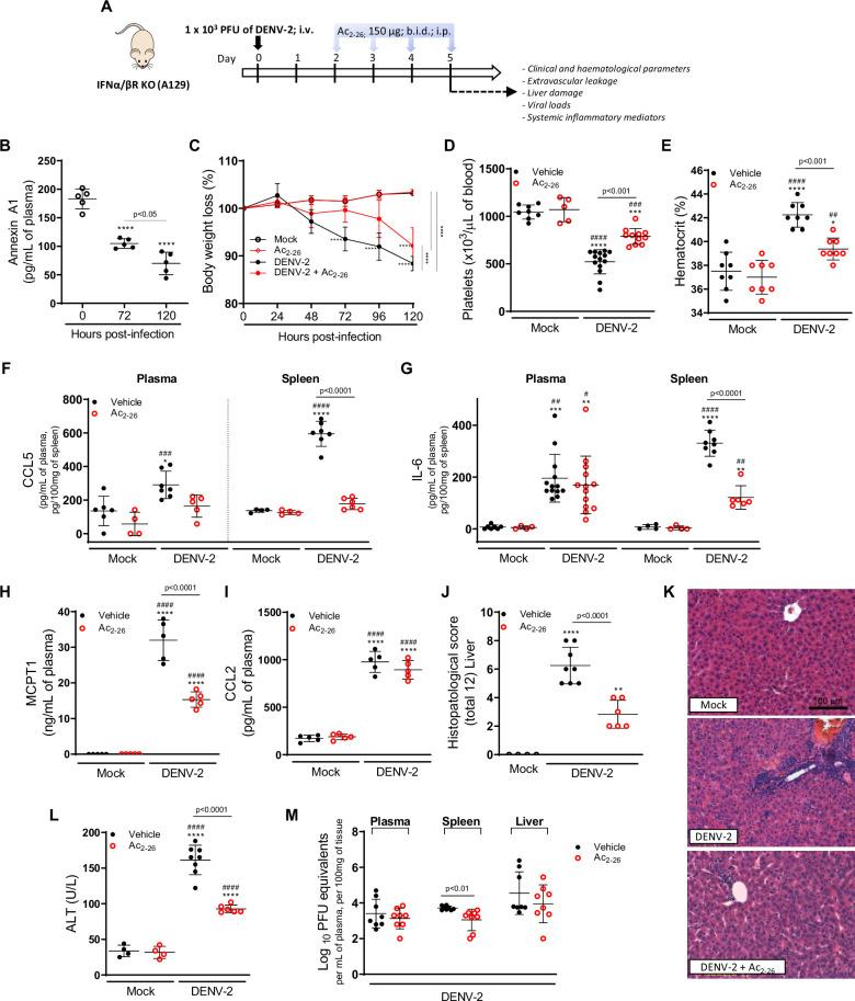 https://cdn.ncbi.nlm.nih.gov/pmc/blobs/a314/8959599/bfce111913b2/elife-73853-fig4.jpg