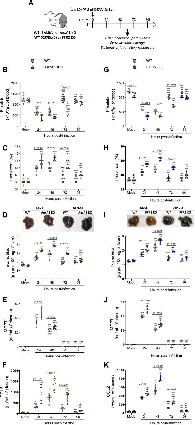 https://cdn.ncbi.nlm.nih.gov/pmc/blobs/a314/8959599/c83671cdcb40/elife-73853-fig2.jpg