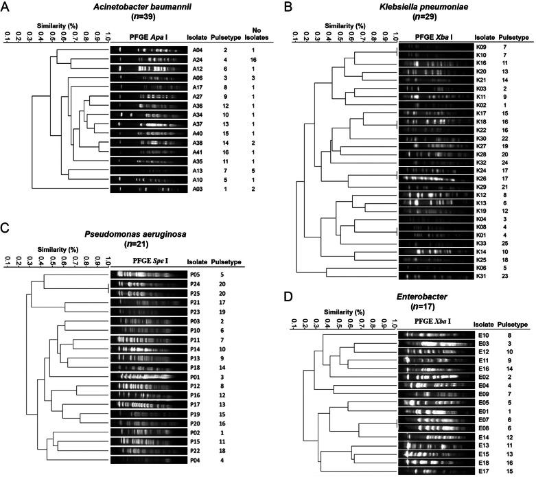 https://cdn.ncbi.nlm.nih.gov/pmc/blobs/a316/10066687/3ab46cc49059/peerj-11-15007-g003.jpg