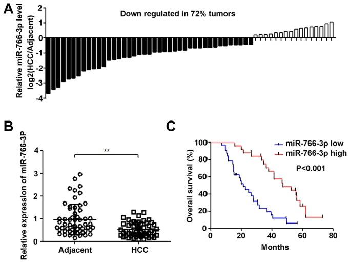 https://cdn.ncbi.nlm.nih.gov/pmc/blobs/a342/6182221/31c8a172c40c/molce-41-9-830f1.jpg
