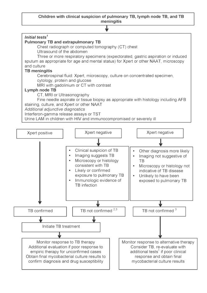 https://cdn.ncbi.nlm.nih.gov/pmc/blobs/a34c/8078611/d52bc2d036a6/nCD013359-FIG-01.jpg