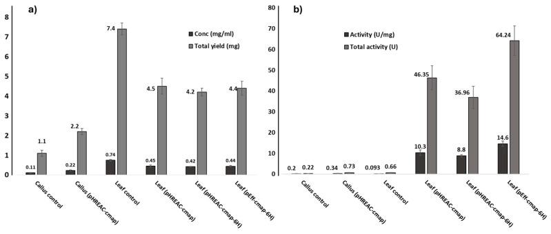 https://cdn.ncbi.nlm.nih.gov/pmc/blobs/a367/11679904/4c7b79ec9510/plants-13-03570-g003.jpg