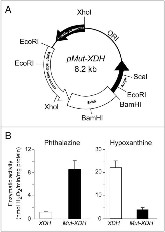 https://cdn.ncbi.nlm.nih.gov/pmc/blobs/a370/5593953/9549bcc38edf/41598_2017_11752_Fig1_HTML.jpg