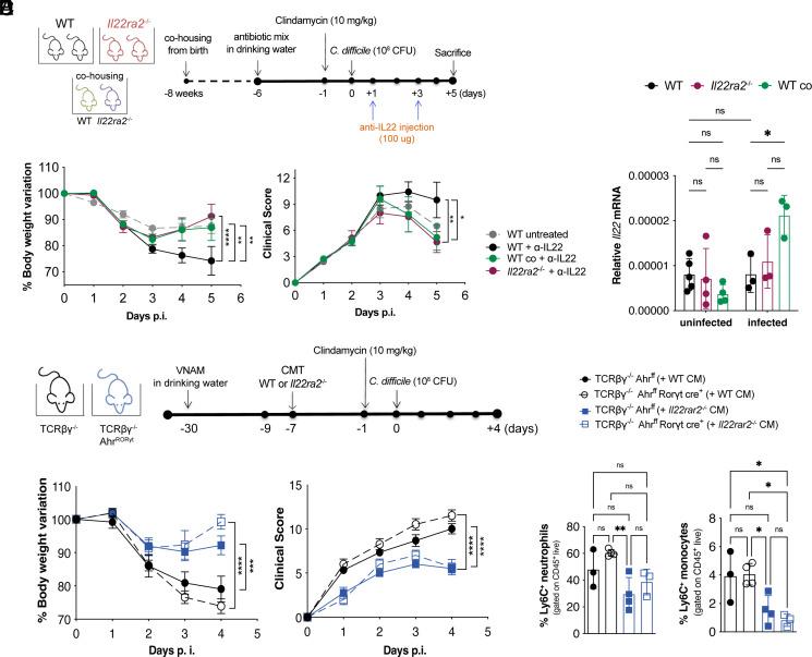 https://cdn.ncbi.nlm.nih.gov/pmc/blobs/a3c9/11087805/30719cd8b18e/pnas.2321836121fig03.jpg