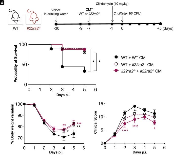 https://cdn.ncbi.nlm.nih.gov/pmc/blobs/a3c9/11087805/d56773d8e569/pnas.2321836121fig02.jpg