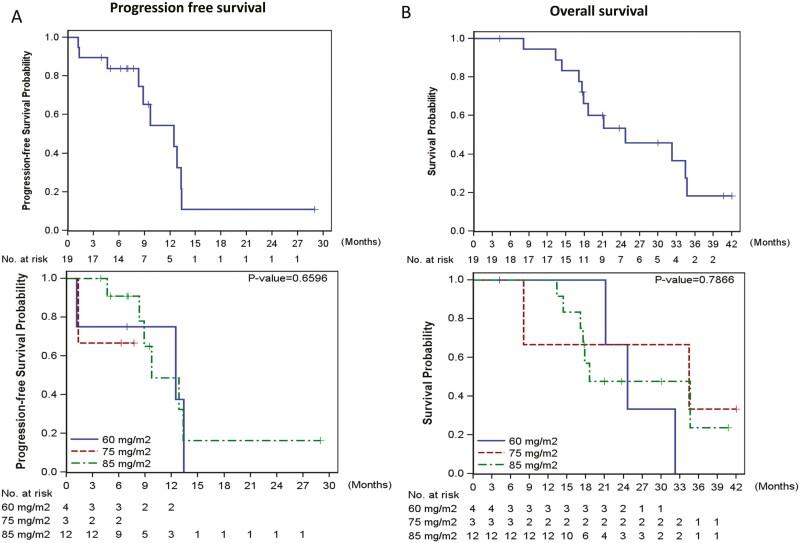 https://cdn.ncbi.nlm.nih.gov/pmc/blobs/a41a/11449045/1e3c10719904/oyae109_fig3.jpg
