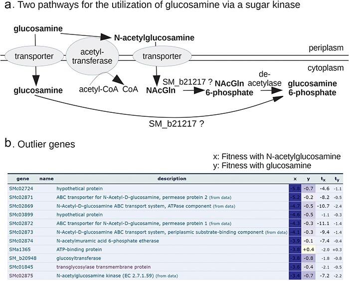 https://cdn.ncbi.nlm.nih.gov/pmc/blobs/a468/11378808/43f225ad2f3e/baae089f4.jpg