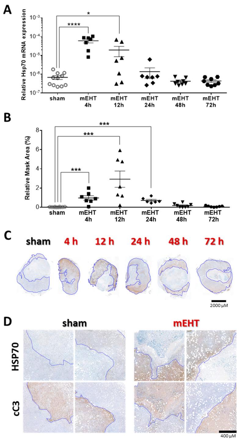 https://cdn.ncbi.nlm.nih.gov/pmc/blobs/a471/7565562/c216b4df7512/cancers-12-02581-g008.jpg
