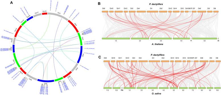 https://cdn.ncbi.nlm.nih.gov/pmc/blobs/a489/12211173/d1d535e50ec5/12864_2025_11715_Fig6_HTML.jpg