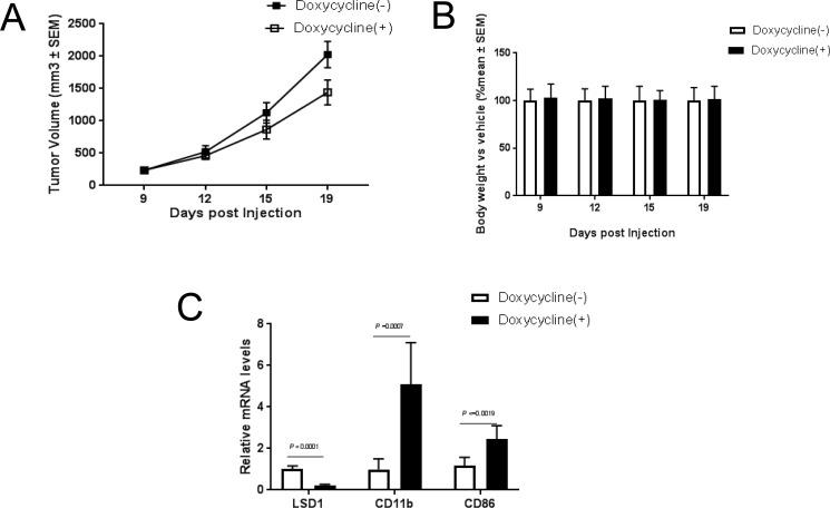 https://cdn.ncbi.nlm.nih.gov/pmc/blobs/a4ad/5689595/26ad2a64da54/oncotarget-08-85085-g004.jpg