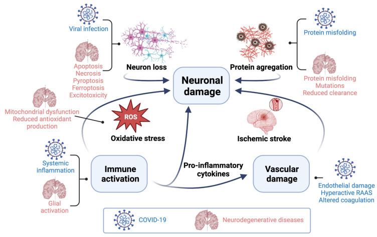 https://cdn.ncbi.nlm.nih.gov/pmc/blobs/a4b0/10669388/472975b18401/biomolecules-13-01585-g002.jpg